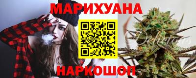 стаф Дубна