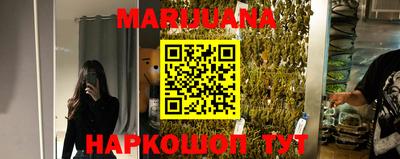 стаф Дубна