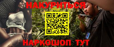 стаф Дубна