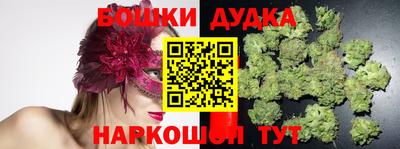 стаф Дубна